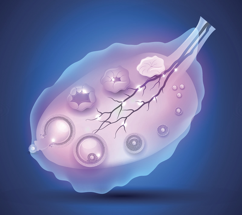 2026威海试管婴儿医院排名(威海妇幼做试管婴儿技术水平如何)